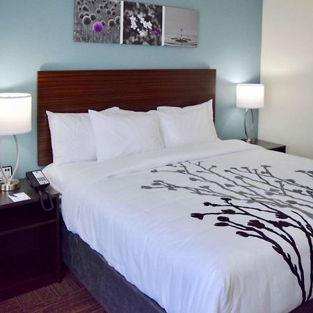 Sleep Inn & Suites Near Westchase Χιούστον Εξωτερικό φωτογραφία