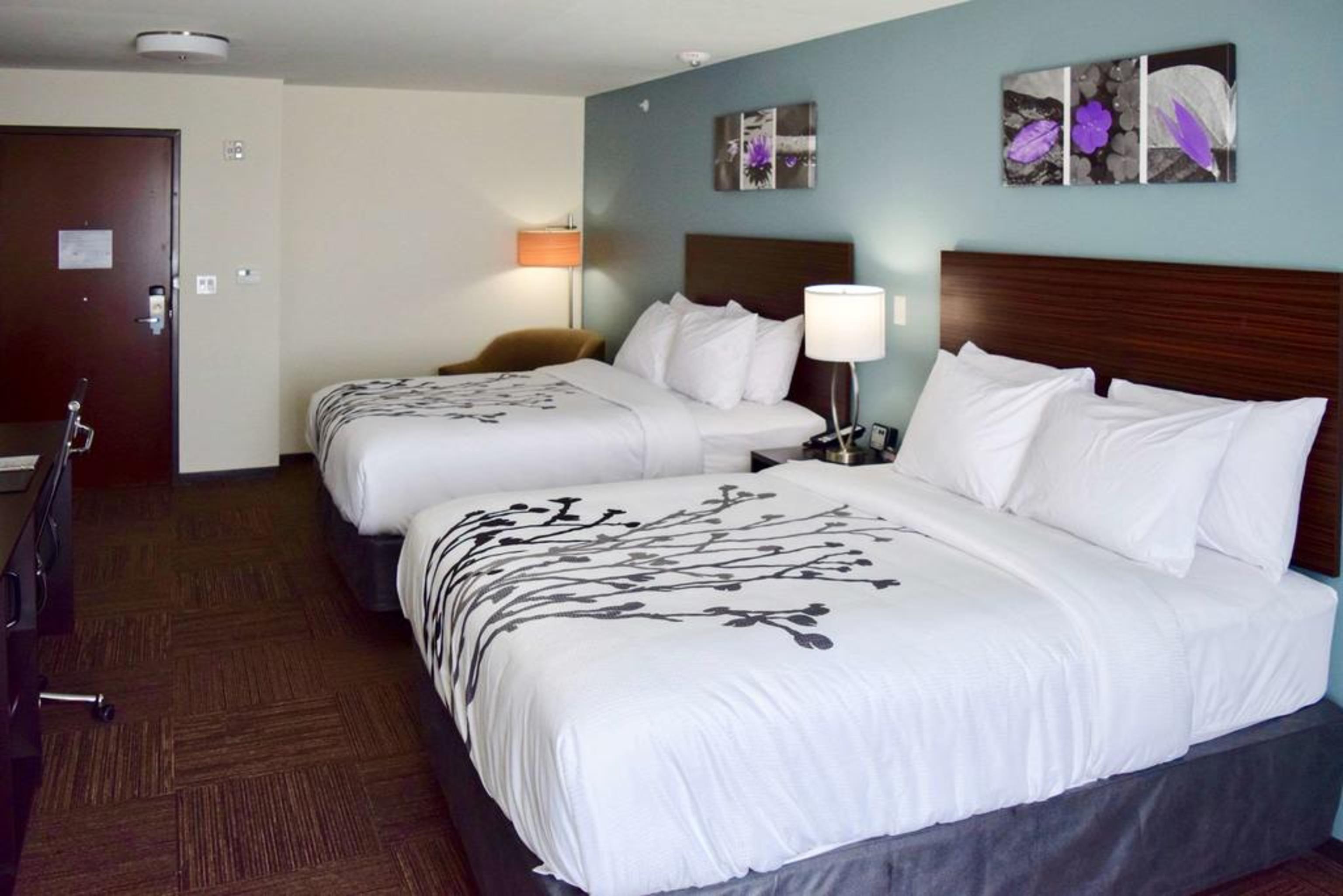Sleep Inn & Suites Near Westchase Χιούστον Εξωτερικό φωτογραφία