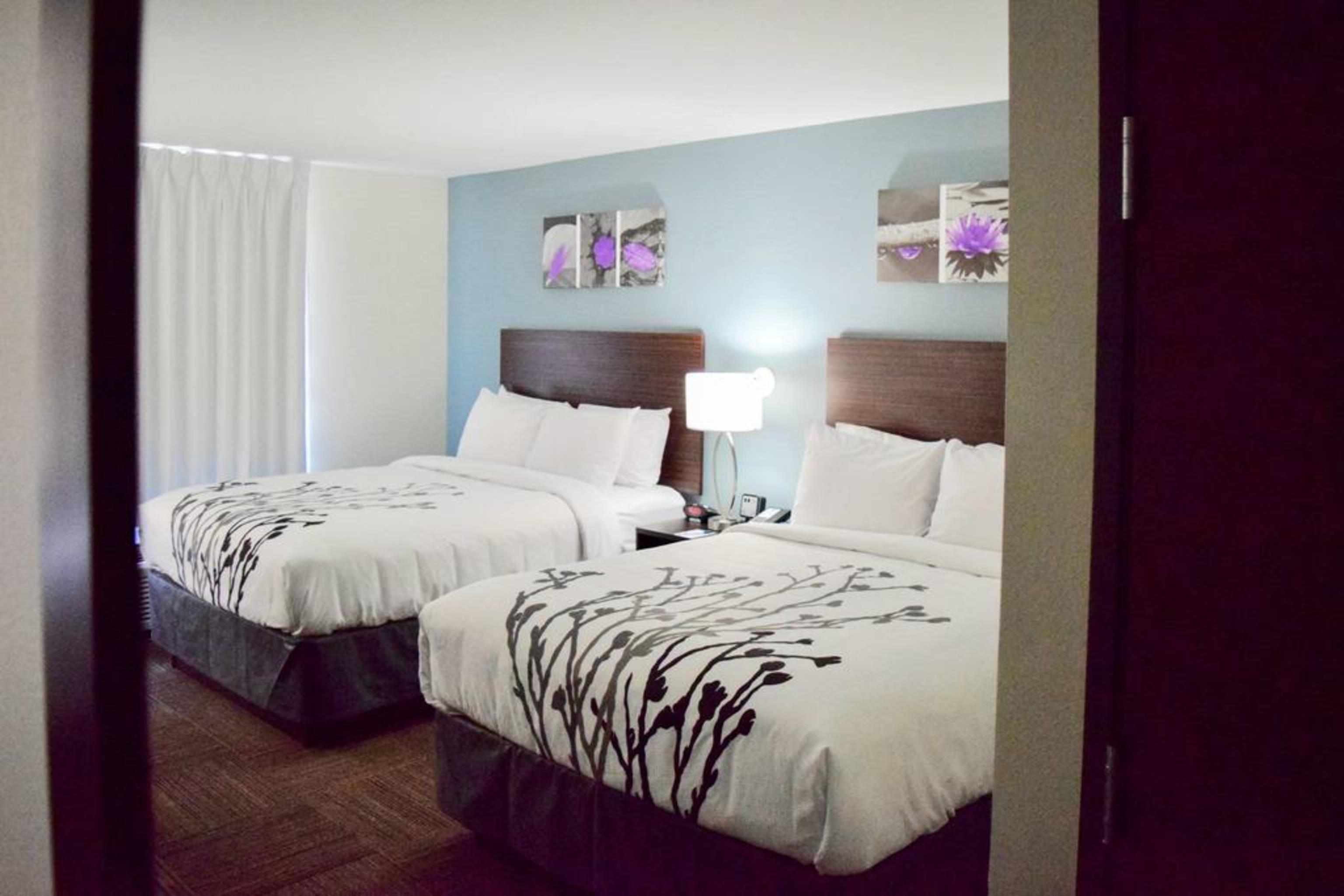 Sleep Inn & Suites Near Westchase Χιούστον Εξωτερικό φωτογραφία