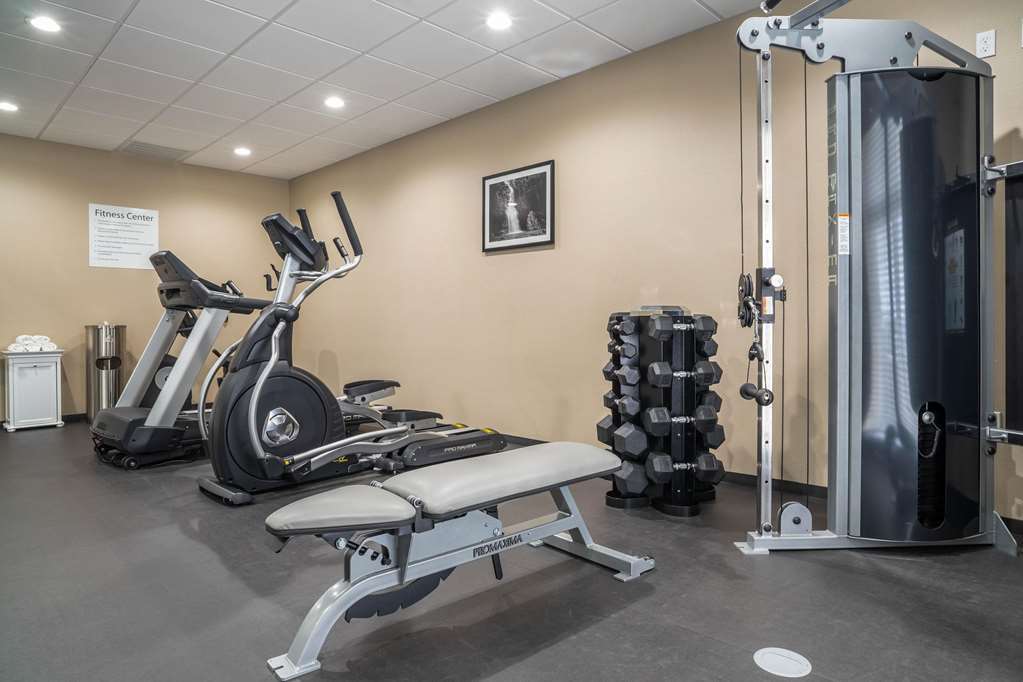Sleep Inn & Suites Near Westchase Χιούστον Ανέσεις φωτογραφία